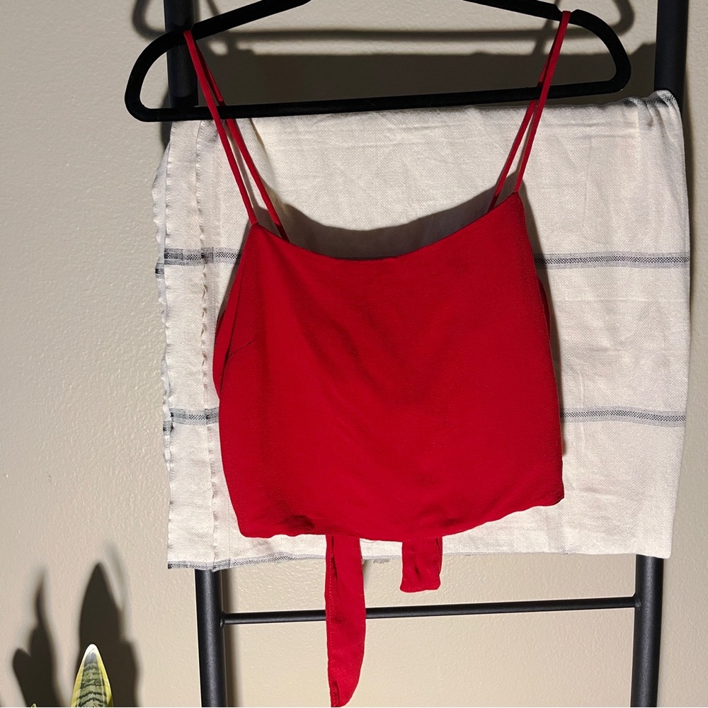 Brandy Melville Tie Back Crop Top